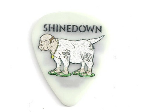Plettro chitarra shinedown - plettro,