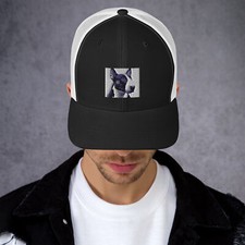 Cappello Bully ora