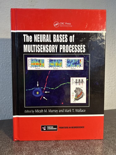 The neural bases - the,