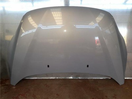 Cofano per ford max - cofano,