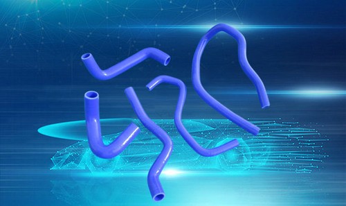 Blue silicone hose for renault - silicone,