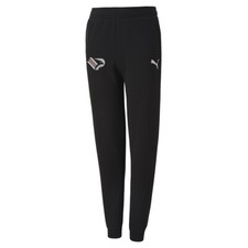 Puma palermo team - team, goal