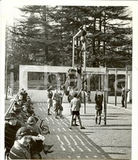 1938 MILANO Parco SEMPIONE Bambini e ragazzi durante giochi ginnici *Fotografia