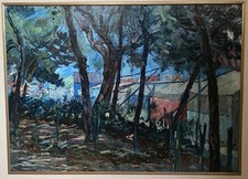 Paulo Ghiglia  Incorniciato