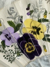 SQUISITO ANTICO VENTAGLIO A