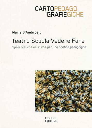 Teatro scuola vedere - , fare