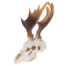  Arredamento Per Acquari