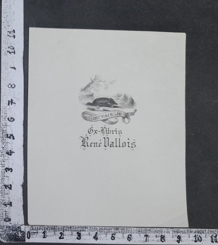 Wunderkammer exlibris - -, "