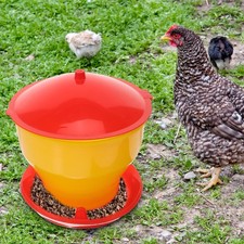  Mangiatoia Per Polli