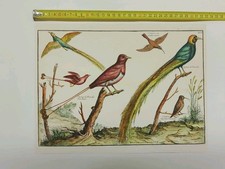 Stampa d'Arredo Vintage -