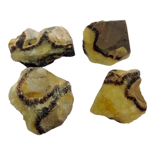 Minerali septaria pietra - ,