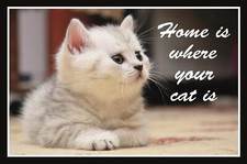 Top cartelli, varie misure