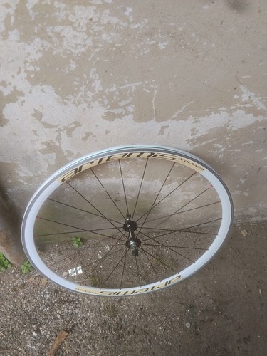 Ruota anteriore colnago - anteriore,