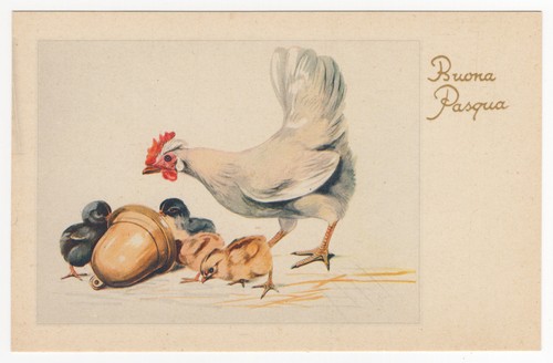 Buona pasqua cartolina - pasqua,