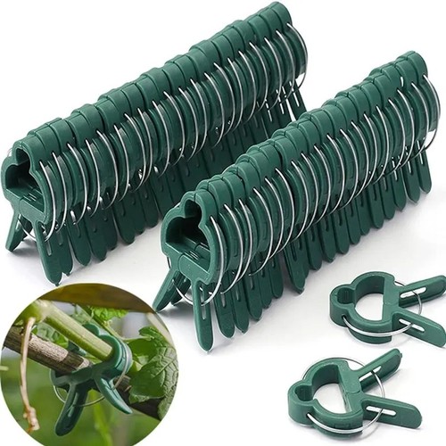 Pezzi clip supporto piante - 20,