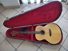 Chitarra Acustica