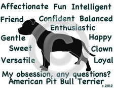 American Pit Bull Dog My