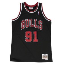 Chicago bulls dennis rodman - chicago,