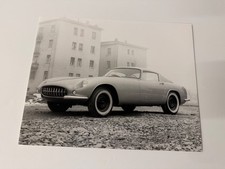 Fotografie furetti modena - fotografie,