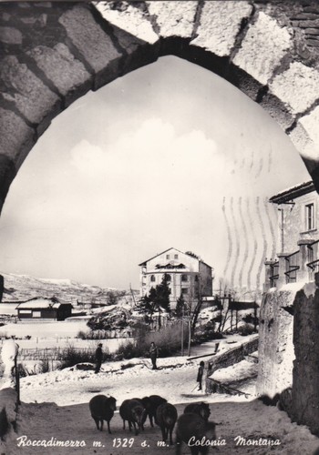 Rocca mezzo colonia - rocca,