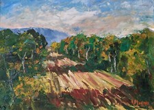 Ildebrando Monaci Aranceti di