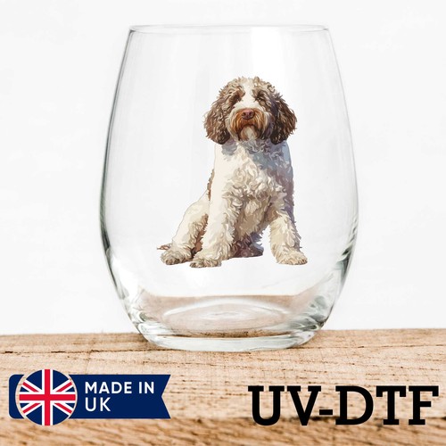 Lagotto romagnolo cane 8pz - romagnolo,