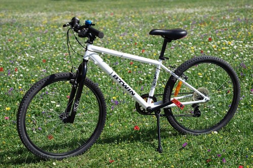 Twin rockrider 300 - rockrider,