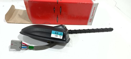 Antenna pinna posteriore - pinna,