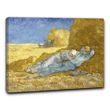 Niik Quadro la siesta