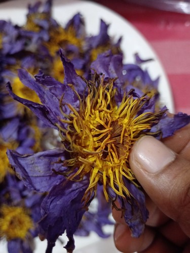 Fiori biologici secchi loto - fiori, di