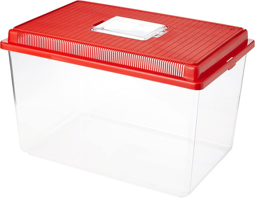 Contenitore plastica piccoli - contenitore,