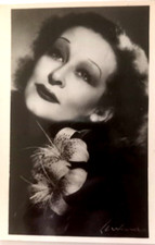 FOTO LUXARDO  - A. TERZOLI VIA