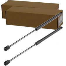 2 molle a gas NTY SOLLEVATORE