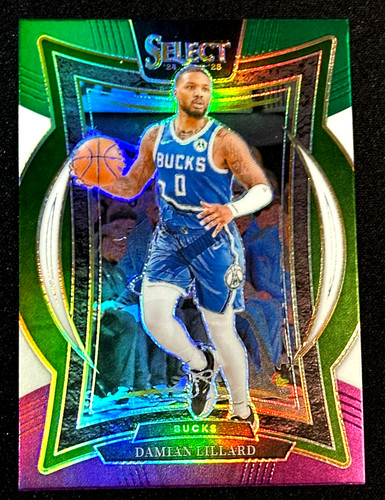 2024 panini select basket - 2024-25,