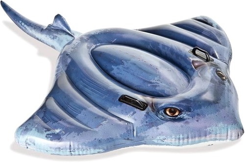 Stingray galleggiante - stingray,