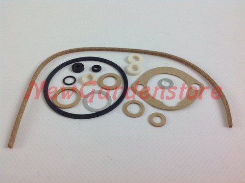 Kit guarnizioni carburatore