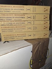 Istituzioni anatomia dell'uomo