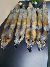 Pelliccia di volpe incrociata