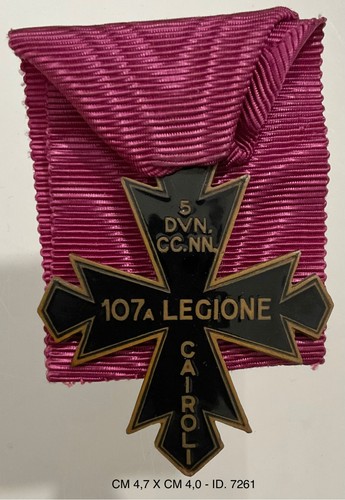 Mvsn divisione 107a - mvsn,
