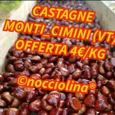 4_KG CASTAGNE + MARRONI MIX FRESCHE   2025  CALIBRO MEDIO_GRANDE  🌟 OFFERTA 🌟