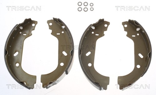 Kit ganasce freno triscan 8100 - freno,