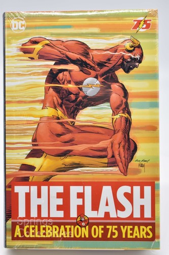 The flash una celebrazione - flash,
