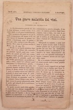 GIORNALE VINICOLO ITALIANO 29 LUGLIO 1877 GATTINARA VINIFICAZIONE VINO VERCELLI
