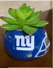 New York Giants 4" fioriera