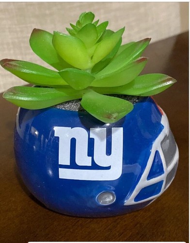 New york giants fioriera - york, 4"