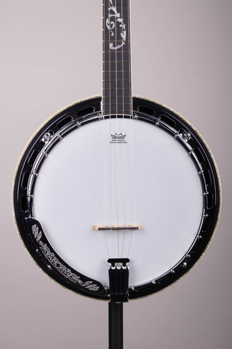 Banjo posteriore chiuso ibanez - posteriore,