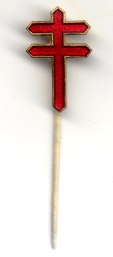Pin distintivo giornata - pin,