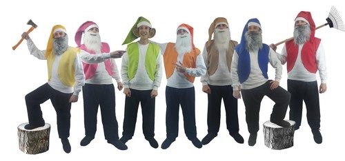 Costume vestito fantasia