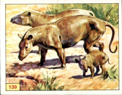 Figurine animali preistorici - figurine,