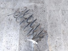 MOLLE AMMORTIZZATORI POSTERIORI VOLKSWAGEN GOLF VII (5G1) 1.6 TDI 16V 90CV (2012